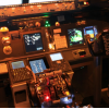 FLIGHT SIMULATION GARMIN 1000