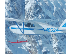 Winter Ski Flying