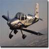 RV–10