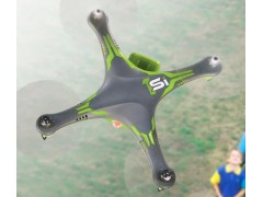 1Si