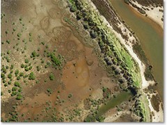 Natural Resource Management