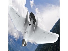 Baaz Flying Wing