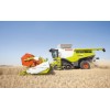 Agriculture and Forestry