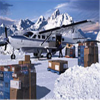 Cargo and Freight Services