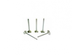 AUTO ENGINE VALVE - GENUINE, ORIGINAL and AFTERMARKET