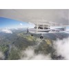 Piloto Comercial