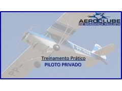 PILOTO PRIVADO-AVIÃO (PP-A)