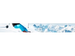 XEagle Advanced