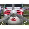 BRUCES CUSTOM DIAMOND ENGINE INLET PLUGS