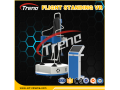 ZHUOYUAN Indoor Amusement Machine 9D VR Stand up Flight Simulator Experiencing Extreme Sports