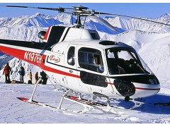 AIRGLAS HELICOPTER SKIS