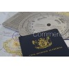 Commercial Pilots licence