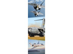 Wing Structures