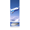 In-Flight Entertainment and Connectivity (IFEC) Radomes