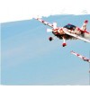 Formation Flight Training