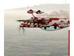 Aerobatics Training