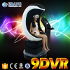 amusive visual enjoyment flight simulator