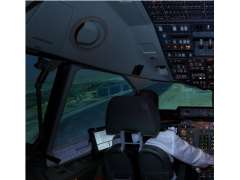 Pilot type rating training