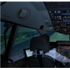 Pilot type rating training