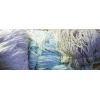 Carpet Blends Wool and Nylon