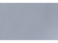 ICM9581GR05