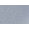 ICM9581GR05