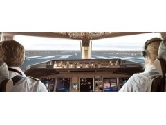 COMMERCIAL PILOTS LICENSE