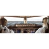 COMMERCIAL PILOTS LICENSE