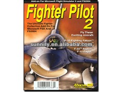 flight simulator