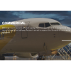 Commercial aircraft lease