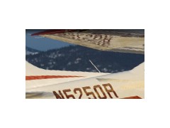 Private Pilot
