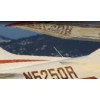 Private Pilot