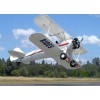 Private Pilot Requirements