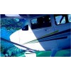 Solo Pilot License