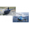 R22 + Huey X Twist Throttle system