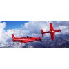 FTD PC-21