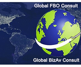 Global FBO Consultant