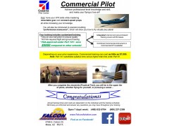 Commercial Pilot