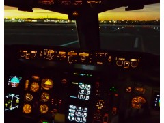 Flight Instructor
