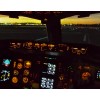 Flight Instructor