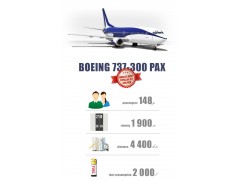 B737-300