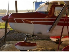 Sport Pilot License