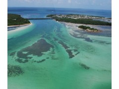Aircraft Tours Marco Island