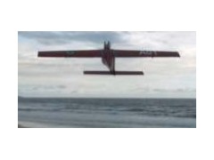 BRV - CARDEAL - 55
