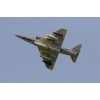 T-50 scale model foam rc plane