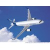 A319