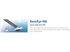 RemoEye 006