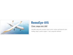 RemoEye 015