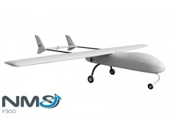 F300 Fixed Wing