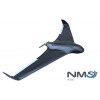 W210 Flying Wing